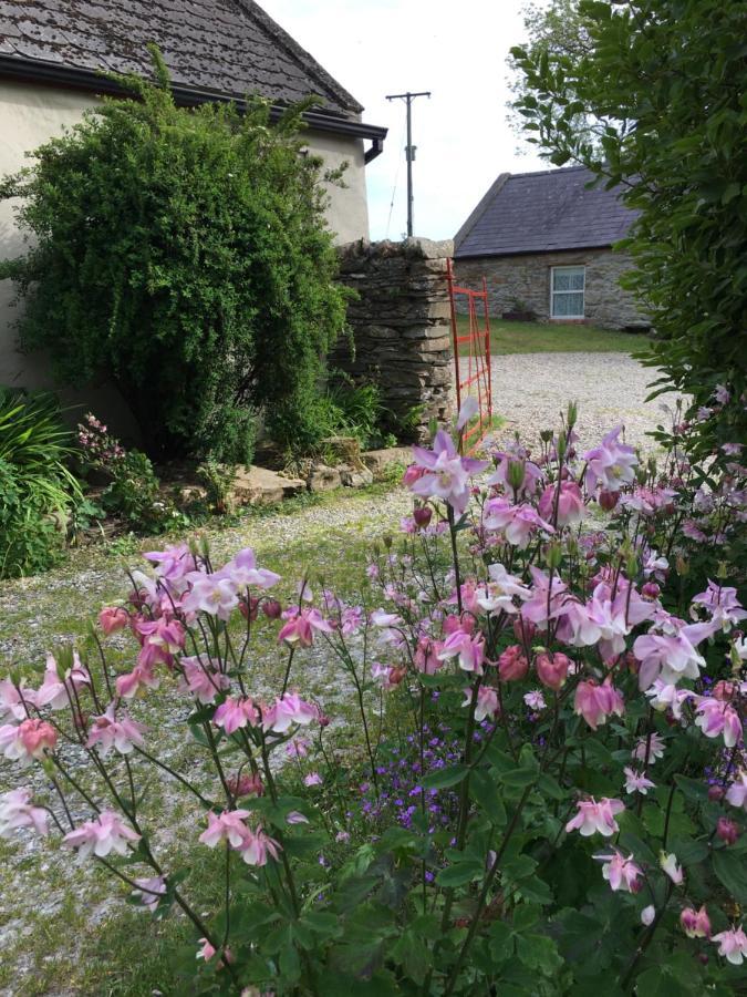 Slievemoyle Cottages Raholp Exterior foto